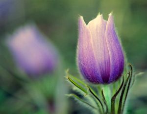 3 – Grief and the Frontline Professions