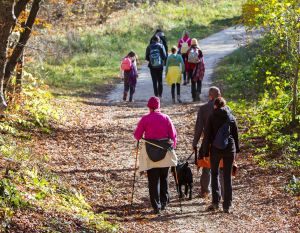 2 – Grief Walking Group